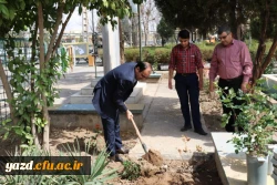 در پردیس شهیدان پاک نژاد یزد صورت گرفت:

کاشت نهال به مناسبت نکوداشت هفته منابع طبیعی و روز درخت کاری 
 3