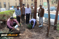 در پردیس شهیدان پاک نژاد یزد صورت گرفت:

کاشت نهال به مناسبت نکوداشت هفته منابع طبیعی و روز درخت کاری 
 4