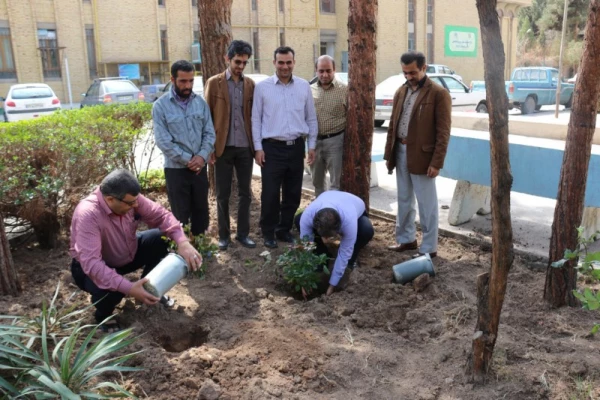 در پردیس شهیدان پاک نژاد یزد صورت گرفت:

کاشت نهال به مناسبت نکوداشت هفته منابع طبیعی و روز درخت کاری 
 4