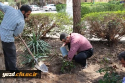 در پردیس شهیدان پاک نژاد یزد صورت گرفت:

کاشت نهال به مناسبت نکوداشت هفته منابع طبیعی و روز درخت کاری 
 5
