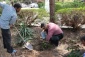 در پردیس شهیدان پاک نژاد یزد صورت گرفت:

کاشت نهال به مناسبت نکوداشت هفته منابع طبیعی و روز درخت کاری 
 5