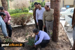 در پردیس شهیدان پاک نژاد یزد صورت گرفت:

کاشت نهال به مناسبت نکوداشت هفته منابع طبیعی و روز درخت کاری 
 6