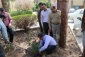 در پردیس شهیدان پاک نژاد یزد صورت گرفت:

کاشت نهال به مناسبت نکوداشت هفته منابع طبیعی و روز درخت کاری 
 6