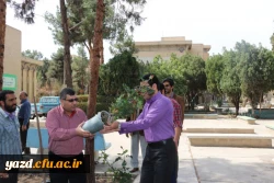 در پردیس شهیدان پاک نژاد یزد صورت گرفت:

کاشت نهال به مناسبت نکوداشت هفته منابع طبیعی و روز درخت کاری 
 7