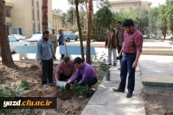 در پردیس شهیدان پاک نژاد یزد صورت گرفت:

کاشت نهال به مناسبت نکوداشت هفته منابع طبیعی و روز درخت کاری 
 8