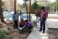 در پردیس شهیدان پاک نژاد یزد صورت گرفت:

کاشت نهال به مناسبت نکوداشت هفته منابع طبیعی و روز درخت کاری 
 8