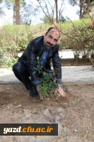 در پردیس شهیدان پاک نژاد یزد صورت گرفت:

کاشت نهال به مناسبت نکوداشت هفته منابع طبیعی و روز درخت کاری 
 9