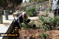در پردیس شهیدان پاک نژاد یزد صورت گرفت:

کاشت نهال به مناسبت نکوداشت هفته منابع طبیعی و روز درخت کاری 
 10