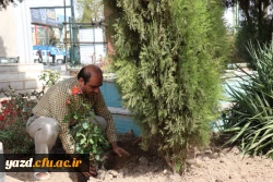 در پردیس شهیدان پاک نژاد یزد صورت گرفت:

کاشت نهال به مناسبت نکوداشت هفته منابع طبیعی و روز درخت کاری 
 13