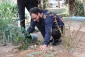 در پردیس شهیدان پاک نژاد یزد صورت گرفت:

کاشت نهال به مناسبت نکوداشت هفته منابع طبیعی و روز درخت کاری 
 15