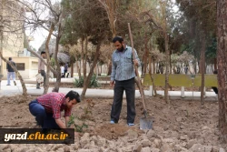 در پردیس شهیدان پاک نژاد یزد صورت گرفت:

کاشت نهال به مناسبت نکوداشت هفته منابع طبیعی و روز درخت کاری 
 17