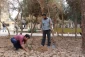 در پردیس شهیدان پاک نژاد یزد صورت گرفت:

کاشت نهال به مناسبت نکوداشت هفته منابع طبیعی و روز درخت کاری 
 17