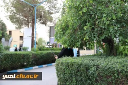 گزارش تصویری از اولین روز جشنواره قرآن و عترت در یزد 26