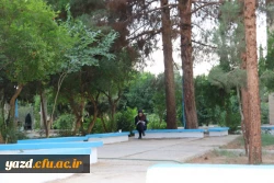 گزارش تصویری از اولین روز جشنواره قرآن و عترت در یزد 41