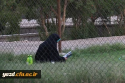 گزارش تصویری از اولین روز جشنواره قرآن و عترت در یزد 42