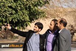 بازدید مهمانان جشنواره از بافت تاریخی یزد به روایت تصویر  11