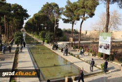 بازدید مهمانان جشنواره از بافت تاریخی یزد به روایت تصویر  21