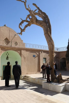 با هدف شناخت و آشنایی با جاذبه های تاریخی، فرهنگی، گردشگری استان :

بازدید کارکنان دانشگاه فرهنگیان یزد از اماکن گردشگری و تاریخی استان یزد 10