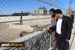 با هدف شناخت و آشنایی با جاذبه های تاریخی، فرهنگی، گردشگری استان :

بازدید کارکنان دانشگاه فرهنگیان یزد از اماکن گردشگری و تاریخی استان یزد 14