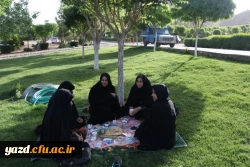 به مناسبت هفته معلم برگزار شد:

همایش کوهپیمایی و پیاده روی کارکنان دانشگاه فرهنگیان یزد
 7