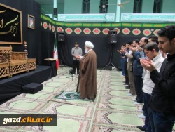 مراسم عزاداری شهادت امام موسی کاظم (ع)
 6