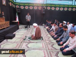مراسم عزاداری شهادت امام موسی کاظم (ع)
 7