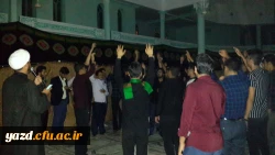 مراسم سوگواری شهادت حضرت رقیه(س)