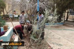 برگزاری مراسم روز درختکاری در دانشگاه فرهنگیان یزد
 4