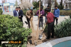 برگزاری مراسم روز درختکاری در دانشگاه فرهنگیان یزد
 8