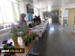 برپایی بازارچه خیریه در پردیس فاطمه الزهرا (س) یزد
 2