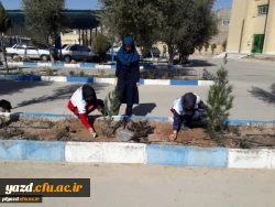 روز درختکاری در پردیس فاطمه الزهرا (س) یزد 2
