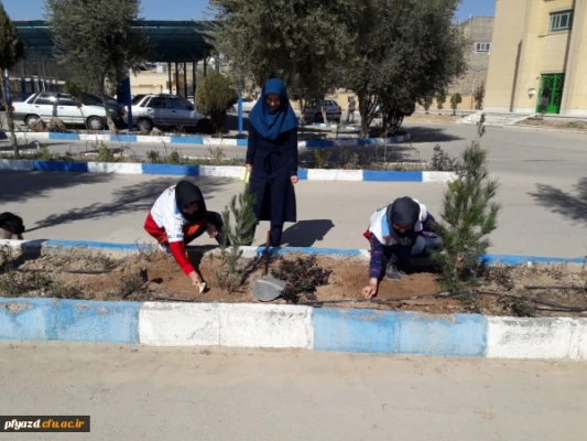 روز درختکاری در پردیس فاطمه الزهرا (س) یزد 2