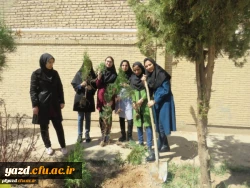 روز درختکاری در پردیس فاطمه الزهرا (س) یزد 2