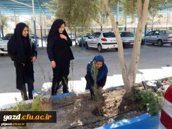 روز درختکاری در پردیس فاطمه الزهرا (س) یزد 2