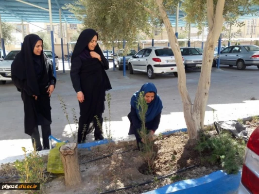 روز درختکاری در پردیس فاطمه الزهرا (س) یزد 2