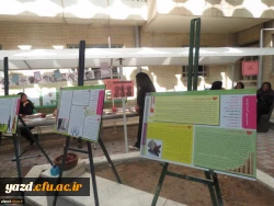 برگزاری نمایشگاه به مناسبت هفته سلامت روان 4