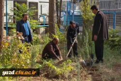 کاشت نهال به مناسبت یادبود شهدای 16 آذر 6