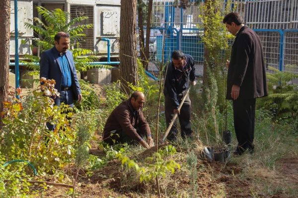 کاشت نهال به مناسبت یادبود شهدای 16 آذر 6