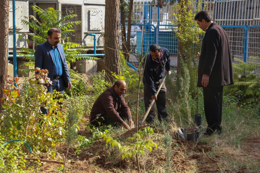 کاشت نهال به مناسبت یادبود شهدای 16 آذر 6