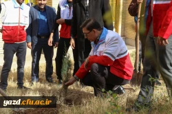 کاشت نهال به مناسبت یادبود شهدای 16 آذر 7