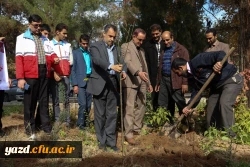 کاشت نهال به مناسبت یادبود شهدای 16 آذر 9