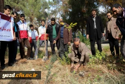 کاشت نهال به مناسبت یادبود شهدای 16 آذر 10