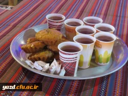 برگزاری اردوی تفریحی دانشجومعلمان پردیس حضرت فاطمه الزهرا(س) 5