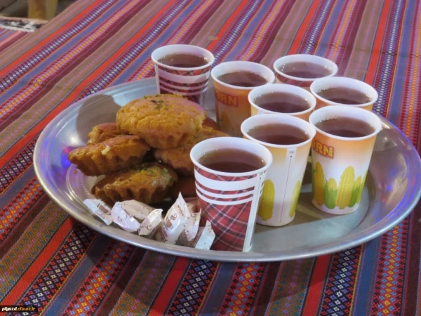 برگزاری اردوی تفریحی دانشجومعلمان پردیس حضرت فاطمه الزهرا(س) 5