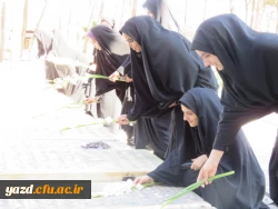  تجدید میثاق کارکنان و دانشجویان پردیس حضرت فاطمه الزهرا(س) با شهدا 3