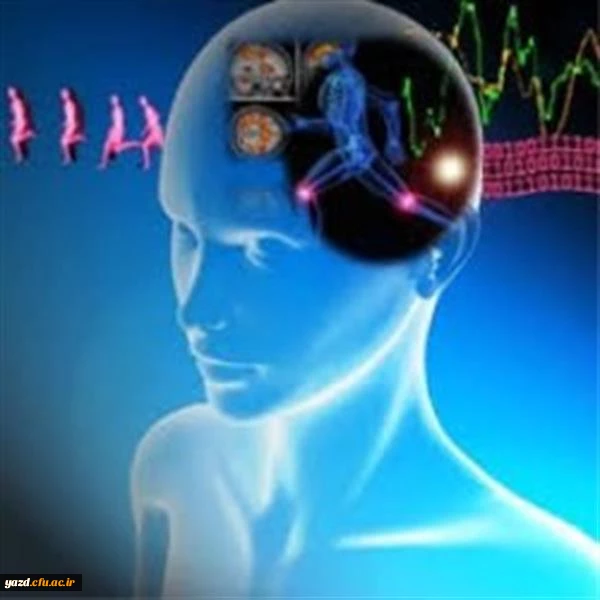 برگزاری کارگاه های آموزشی مجازی 2