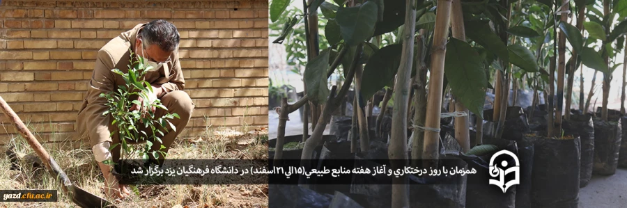 کاشت نهال همزمان با روز درختکاری و آغاز هفته منابع طبیعی  2