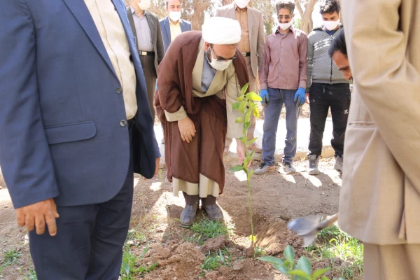 کاشت نهال همزمان با روز درختکاری و آغاز هفته منابع طبیعی  2