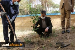 کاشت نهال همزمان با روز درختکاری و آغاز هفته منابع طبیعی  3
