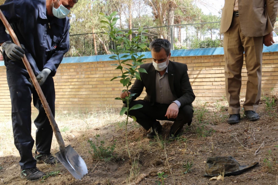 کاشت نهال همزمان با روز درختکاری و آغاز هفته منابع طبیعی  3